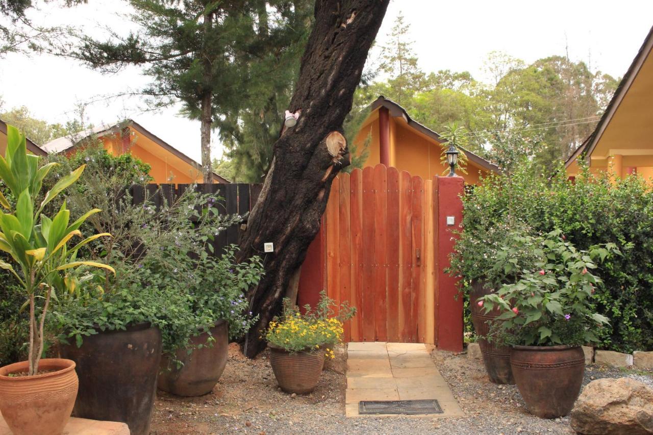Le Rustique Hotel Nanyuki Eksteriør billede